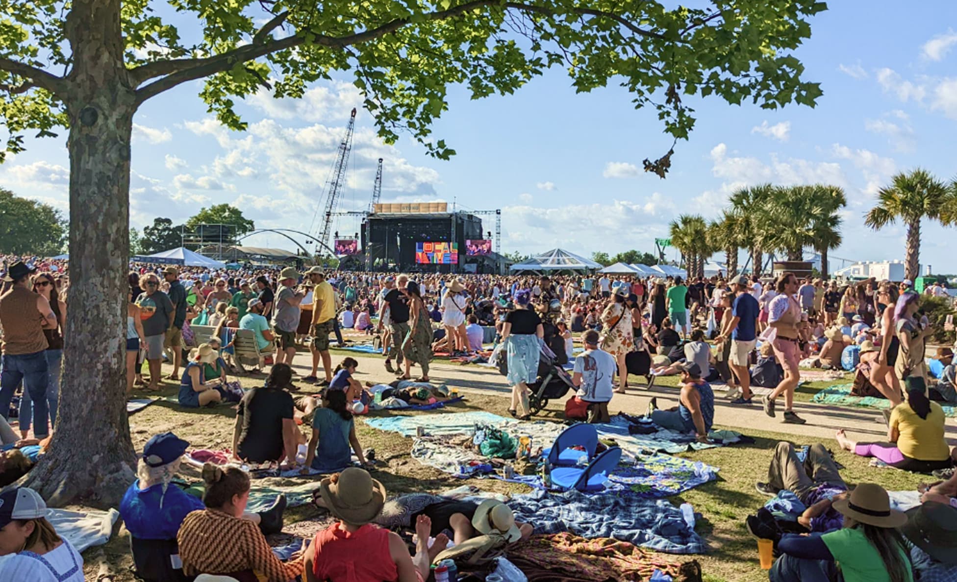 Festival-goers relaxing on blankets under a shade tree at Forecastle Festival